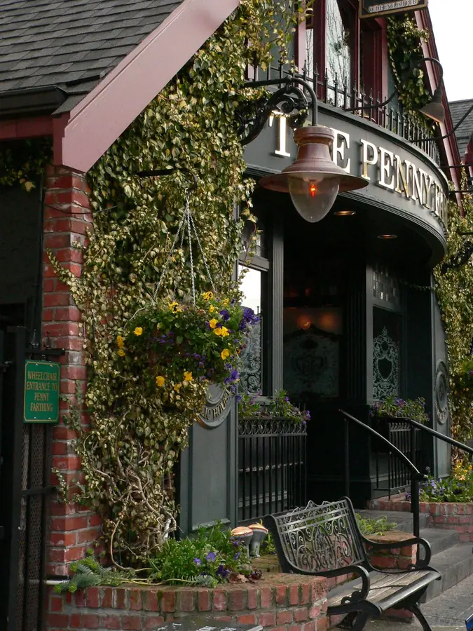 Ivy-covered storefront and bench on Oak Bay Avenue